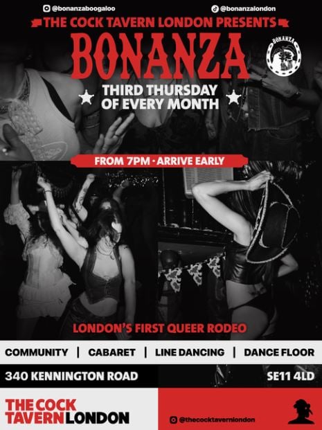 BONANZA: Deep Down South