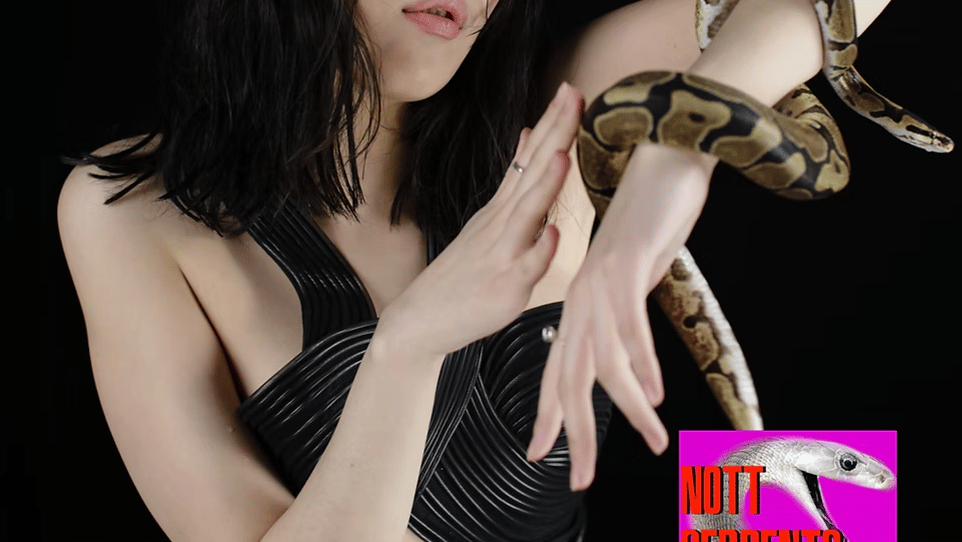 Notts Serpents Private Kink Event