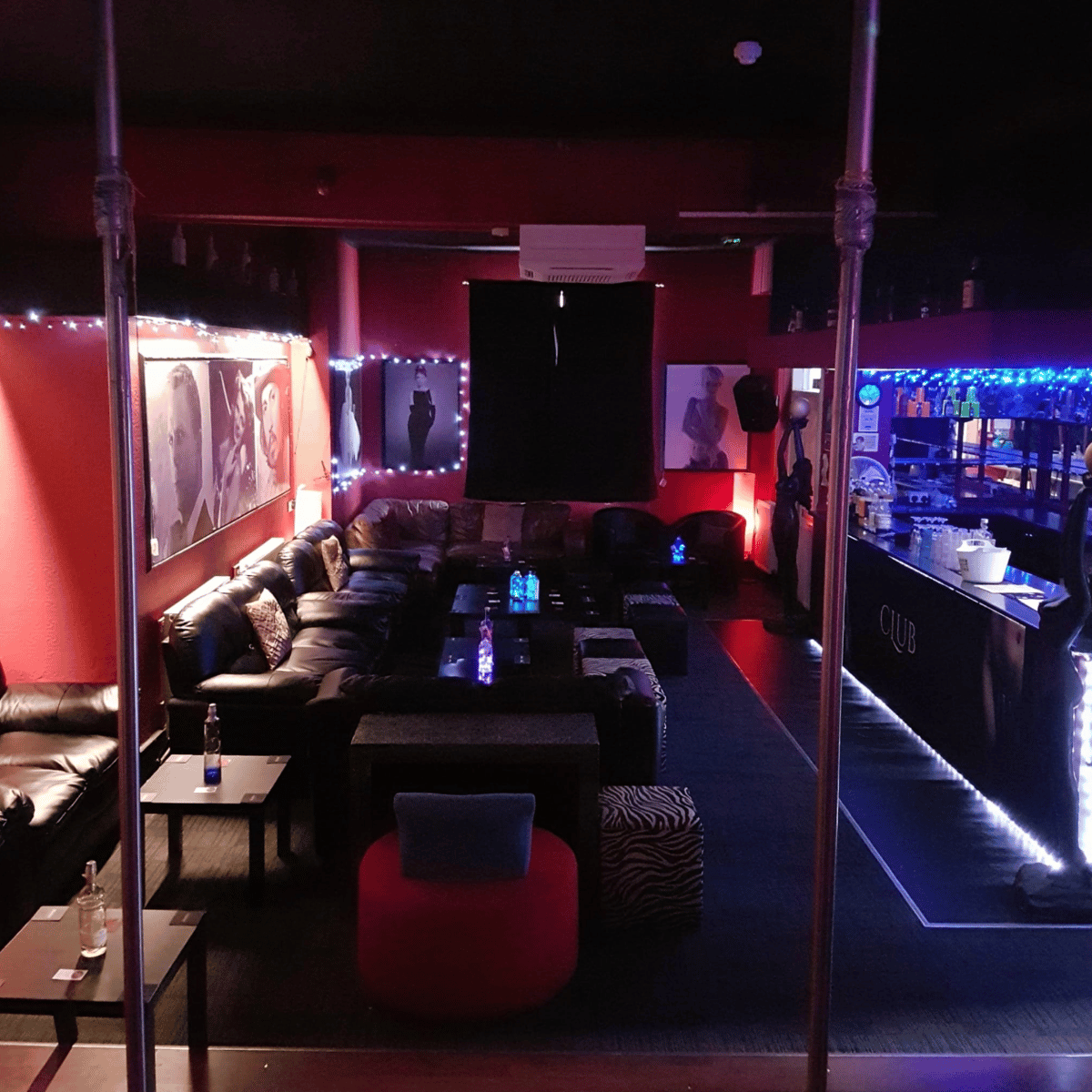 Bi Party Nights